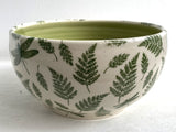 Porcelain Pottery Bowl with Green Dragonflies and Ferns/Green Liner