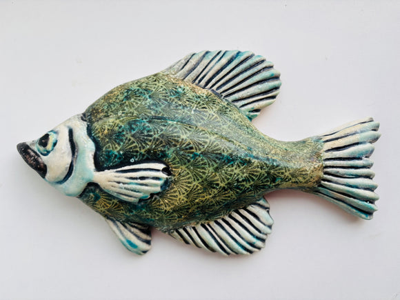 Wall Fish: Freshwater Crappie with Shell Pattern LEFT Facing