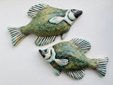 Wall Fish: Freshwater Crappie with Shell Pattern LEFT Facing