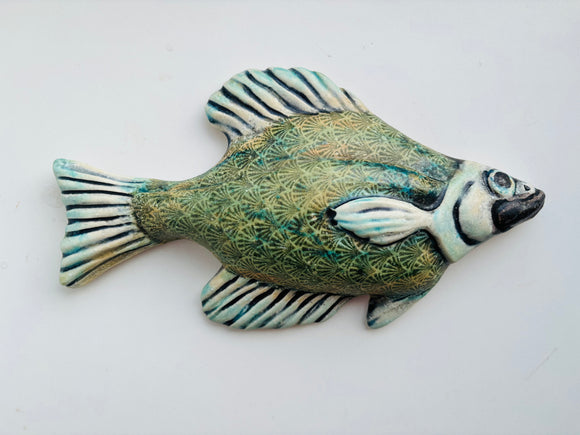 Wall Fish: Freshwater Crappie with Shell Pattern Right Facing