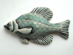 Wall Fish: Freshwater Crappie with Shell Pattern LEFT Facing