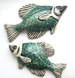 Wall Fish: Freshwater Crappie with Shell Pattern RIGHT Facing
