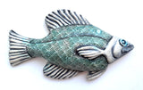 Wall Fish: Freshwater Crappie with Shell Pattern RIGHT Facing